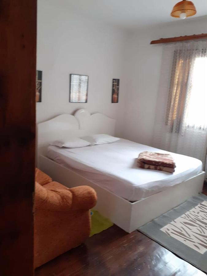Guest Basho * Pogradec